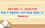 Bài 1 trang 107 SGK Hóa 11 Chân trời sáng tạo